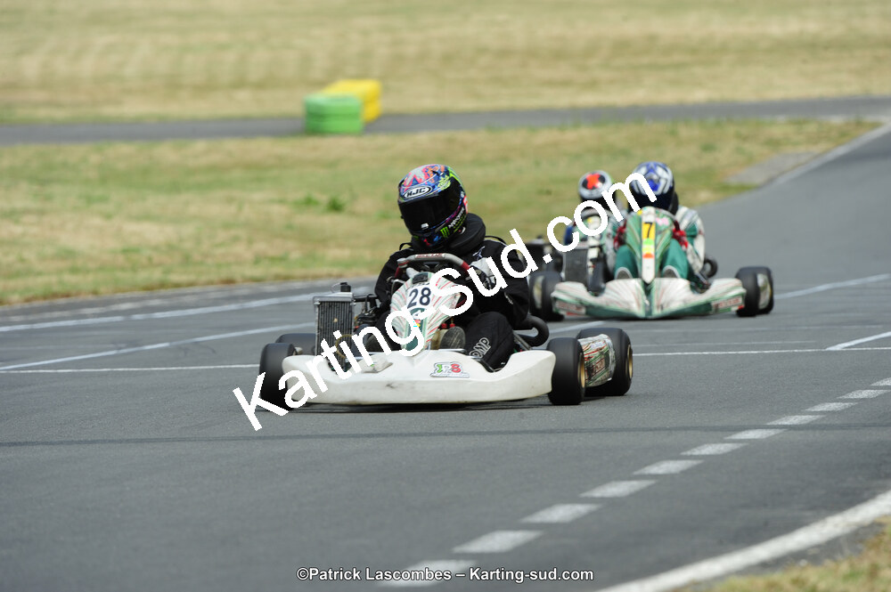 22/06/2014 : 4ème manche du Trophée Jean Paul Puyrigaud à Layrac (Photos Patrick Lascombes) 2014 — karting