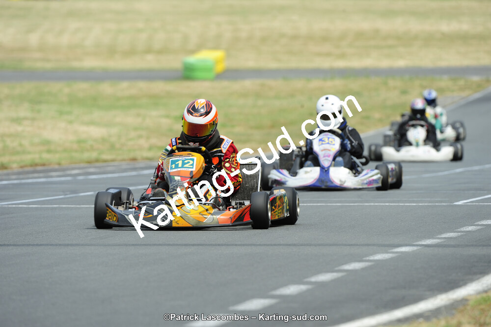 22/06/2014 : 4ème manche du Trophée Jean Paul Puyrigaud à Layrac (Photos Patrick Lascombes) 2014 — karting