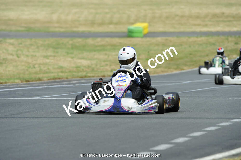 22/06/2014 : 4ème manche du Trophée Jean Paul Puyrigaud à Layrac (Photos Patrick Lascombes) 2014 — karting