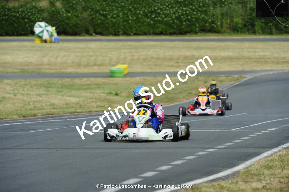 22/06/2014 : 4ème manche du Trophée Jean Paul Puyrigaud à Layrac (Photos Patrick Lascombes) 2014 — karting