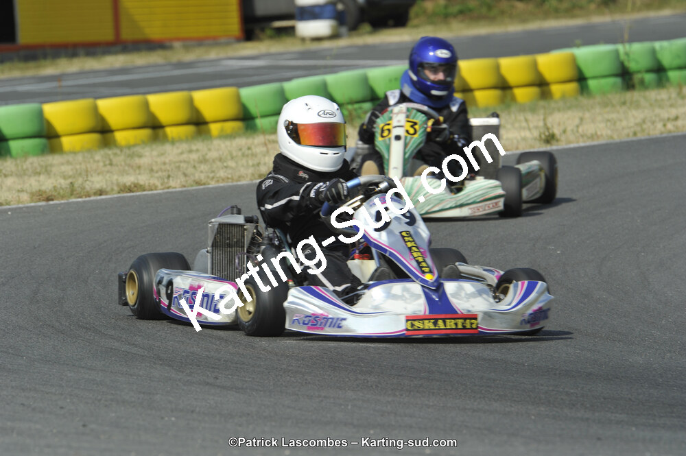 22/06/2014 : 4ème manche du Trophée Jean Paul Puyrigaud à Layrac (Photos Patrick Lascombes) 2014 — karting