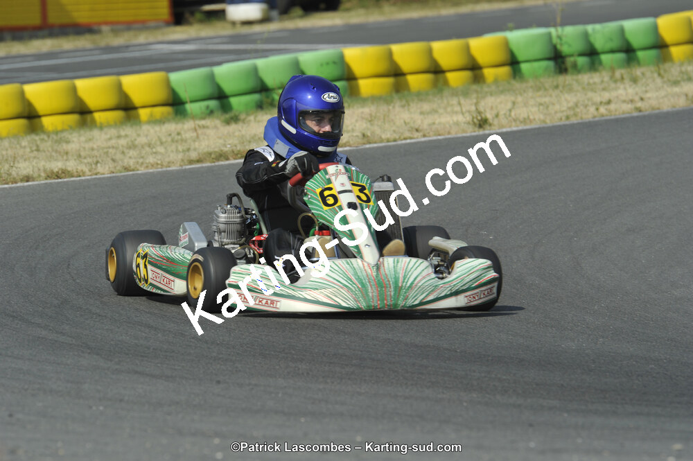 22/06/2014 : 4ème manche du Trophée Jean Paul Puyrigaud à Layrac (Photos Patrick Lascombes) 2014 — karting