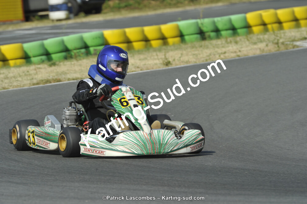 22/06/2014 : 4ème manche du Trophée Jean Paul Puyrigaud à Layrac (Photos Patrick Lascombes) 2014 — karting