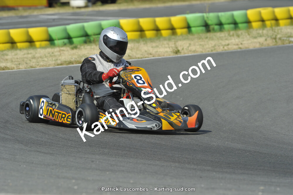 22/06/2014 : 4ème manche du Trophée Jean Paul Puyrigaud à Layrac (Photos Patrick Lascombes) 2014 — karting