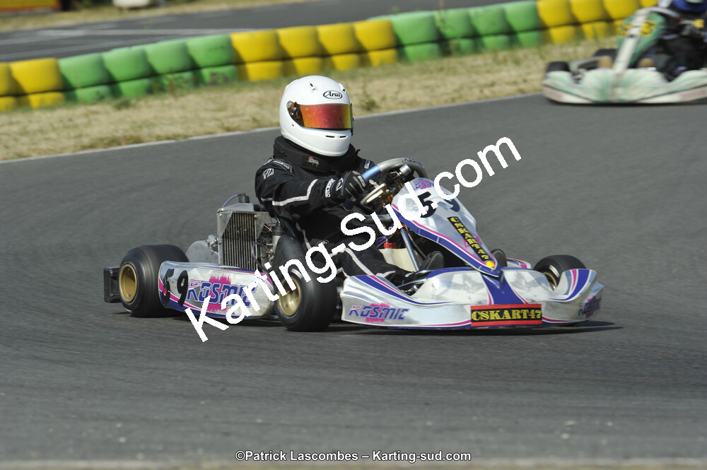 22/06/2014 : 4ème manche du Trophée Jean Paul Puyrigaud à Layrac (Photos Patrick Lascombes) 2014 — karting