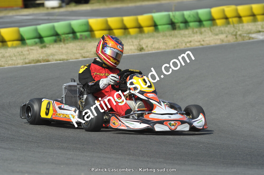 22/06/2014 : 4ème manche du Trophée Jean Paul Puyrigaud à Layrac (Photos Patrick Lascombes) 2014 — karting