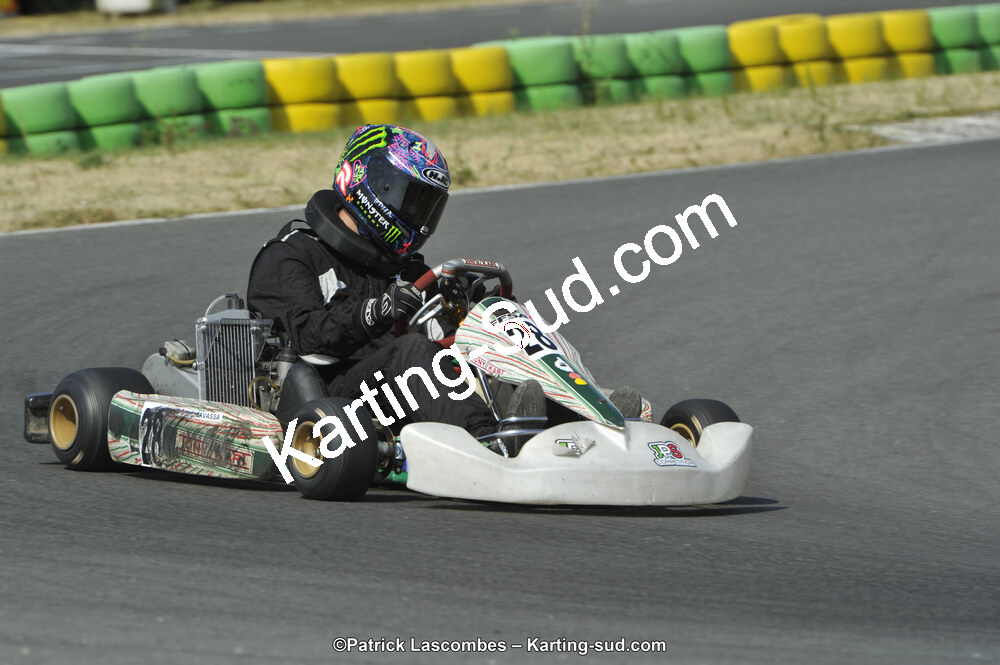 22/06/2014 : 4ème manche du Trophée Jean Paul Puyrigaud à Layrac (Photos Patrick Lascombes) 2014 — karting