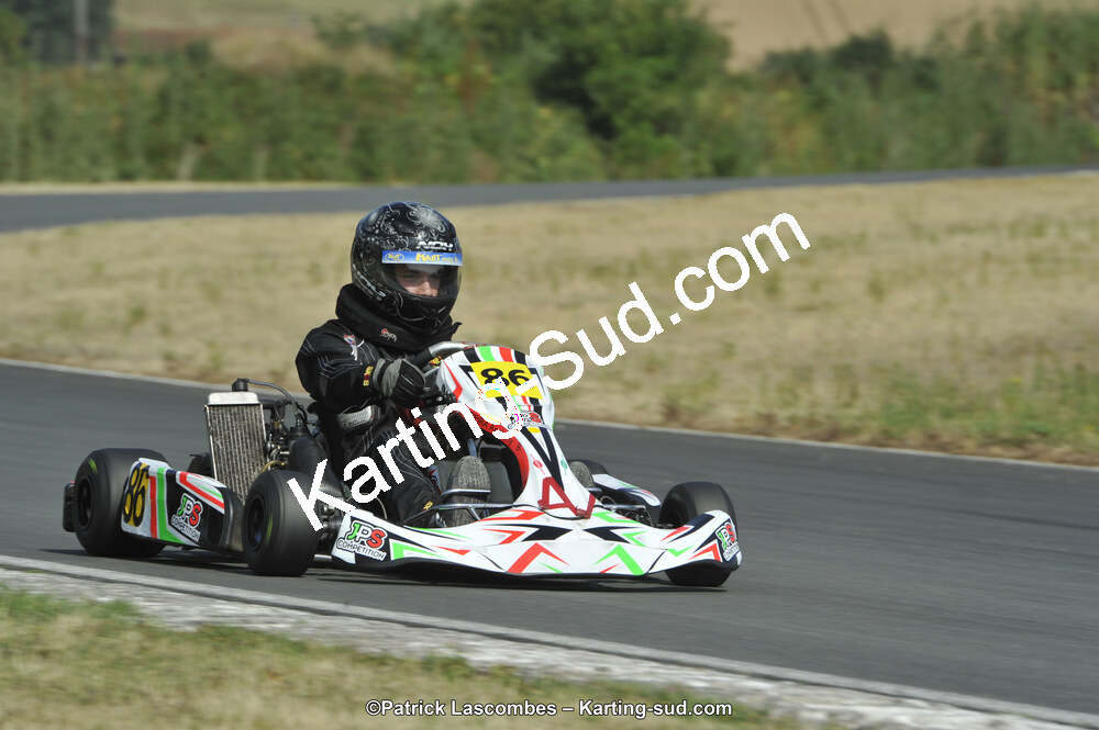22/06/2014 : 4ème manche du Trophée Jean Paul Puyrigaud à Layrac (Photos Patrick Lascombes) 2014 — karting