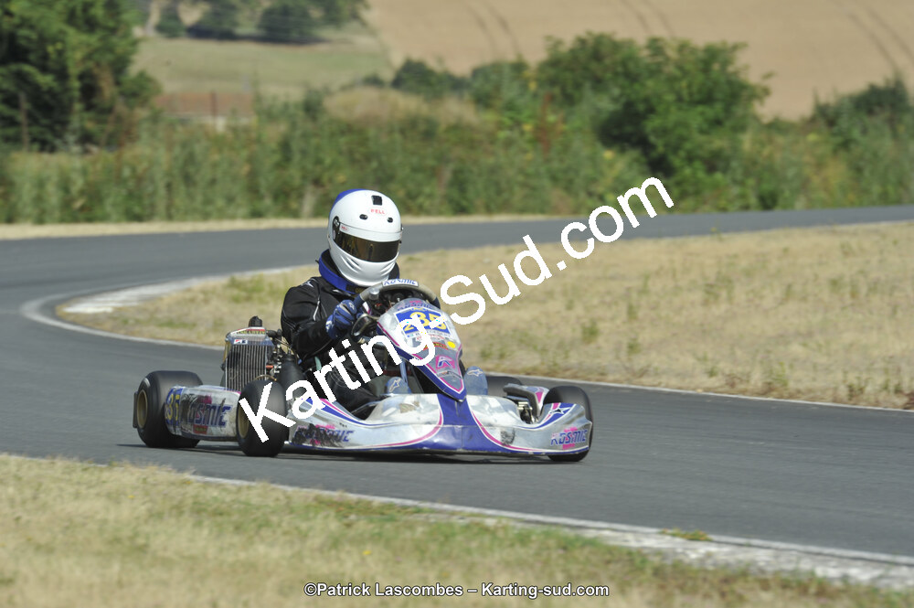 22/06/2014 : 4ème manche du Trophée Jean Paul Puyrigaud à Layrac (Photos Patrick Lascombes) 2014 — karting