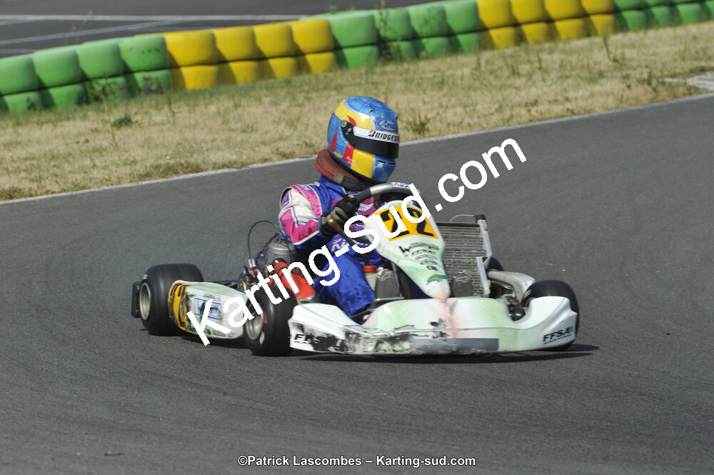 22/06/2014 : 4ème manche du Trophée Jean Paul Puyrigaud à Layrac (Photos Patrick Lascombes) 2014 — karting