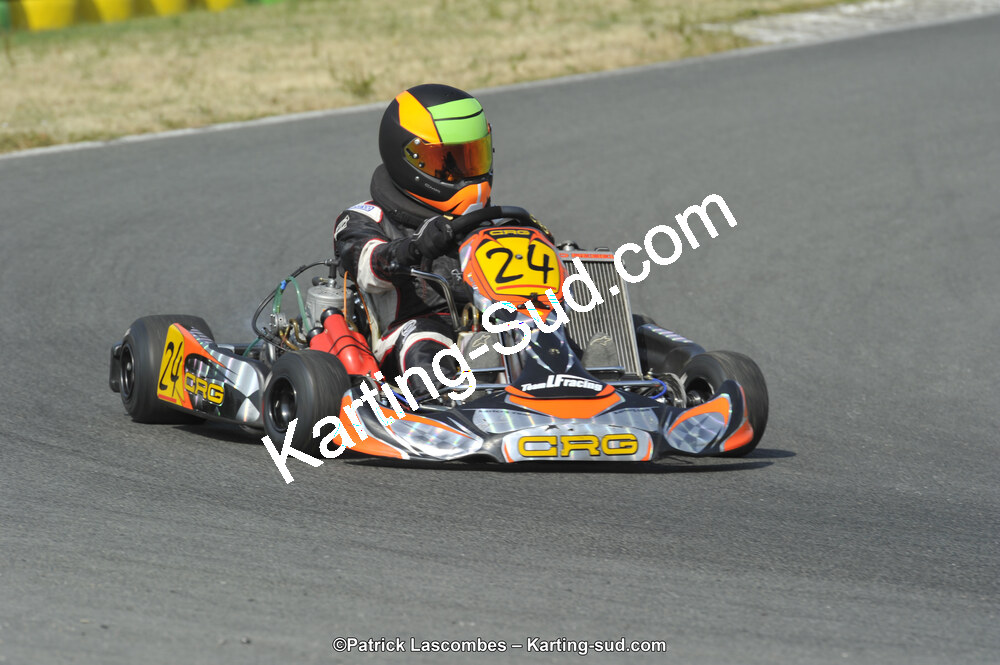 22/06/2014 : 4ème manche du Trophée Jean Paul Puyrigaud à Layrac (Photos Patrick Lascombes) 2014 — karting