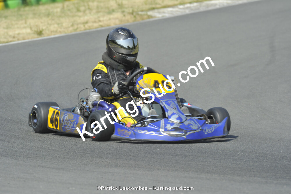 22/06/2014 : 4ème manche du Trophée Jean Paul Puyrigaud à Layrac (Photos Patrick Lascombes) 2014 — karting
