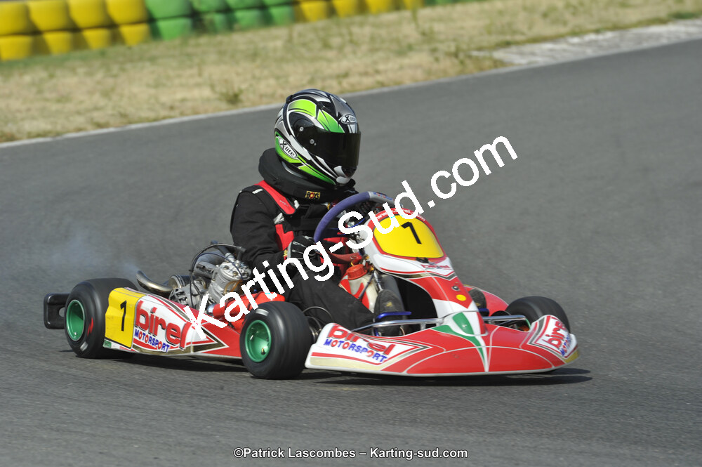 22/06/2014 : 4ème manche du Trophée Jean Paul Puyrigaud à Layrac (Photos Patrick Lascombes) 2014 — karting