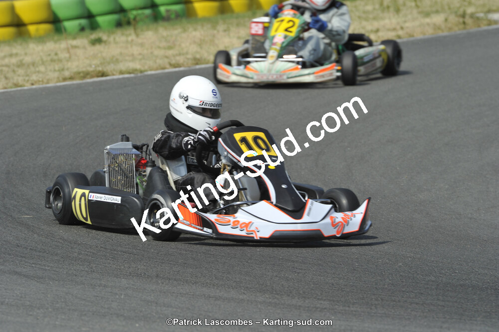 22/06/2014 : 4ème manche du Trophée Jean Paul Puyrigaud à Layrac (Photos Patrick Lascombes) 2014 — karting