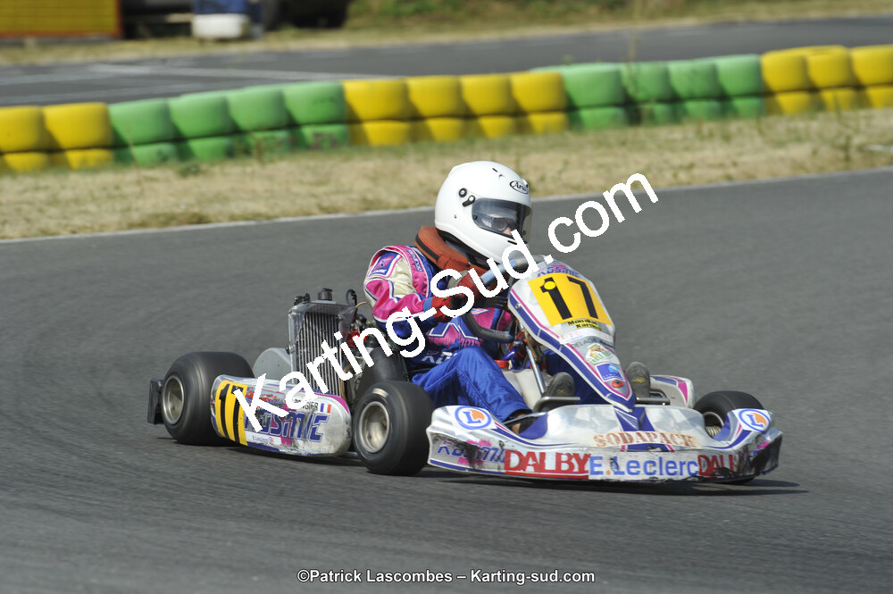 22/06/2014 : 4ème manche du Trophée Jean Paul Puyrigaud à Layrac (Photos Patrick Lascombes) 2014 — karting