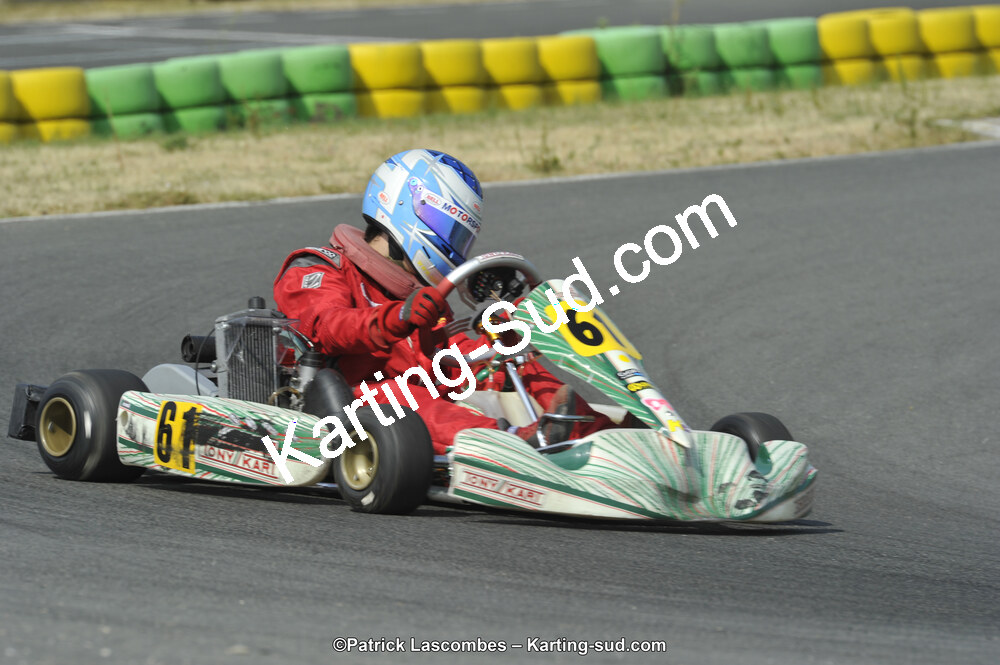 22/06/2014 : 4ème manche du Trophée Jean Paul Puyrigaud à Layrac (Photos Patrick Lascombes) 2014 — karting