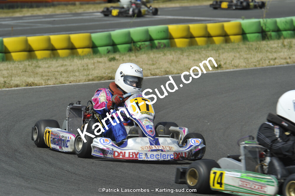 22/06/2014 : 4ème manche du Trophée Jean Paul Puyrigaud à Layrac (Photos Patrick Lascombes) 2014 — karting