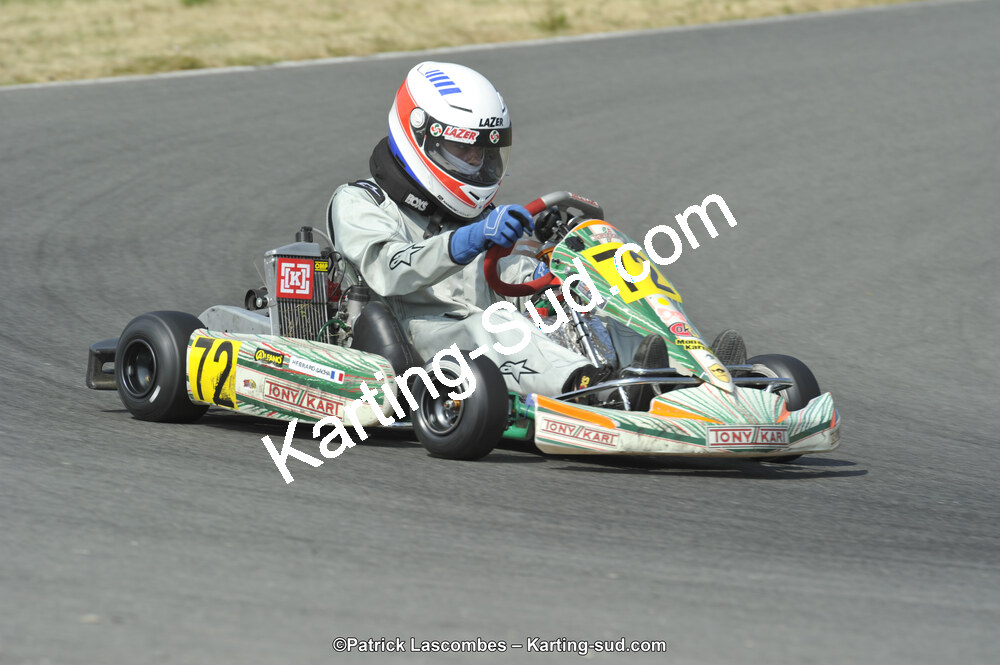 22/06/2014 : 4ème manche du Trophée Jean Paul Puyrigaud à Layrac (Photos Patrick Lascombes) 2014 — karting