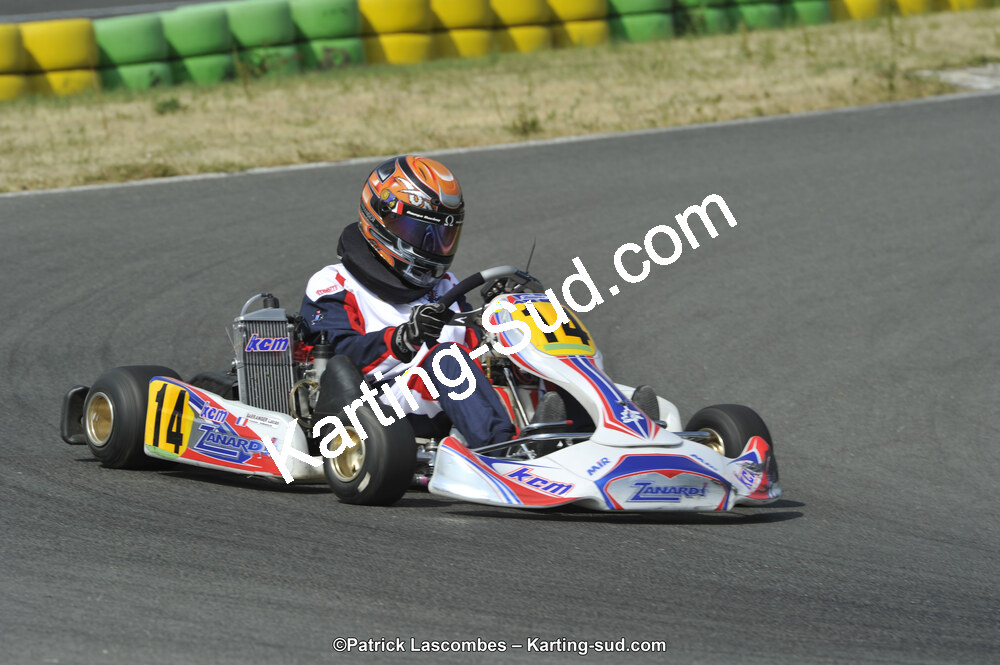 22/06/2014 : 4ème manche du Trophée Jean Paul Puyrigaud à Layrac (Photos Patrick Lascombes) 2014 — karting