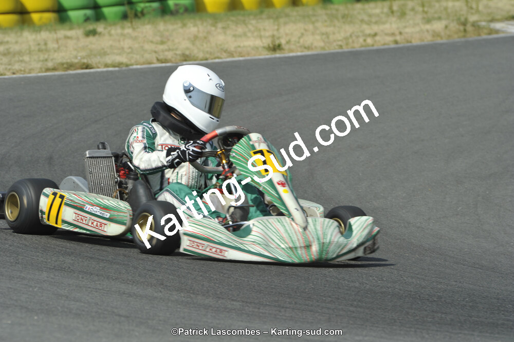 22/06/2014 : 4ème manche du Trophée Jean Paul Puyrigaud à Layrac (Photos Patrick Lascombes) 2014 — karting