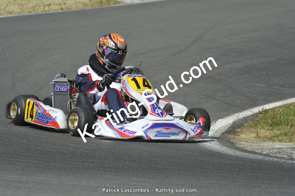 22/06/2014 : 4ème manche du Trophée Jean Paul Puyrigaud à Layrac (Photos Patrick Lascombes) 2014 — karting
