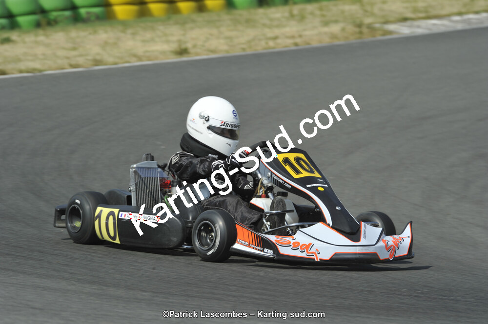 22/06/2014 : 4ème manche du Trophée Jean Paul Puyrigaud à Layrac (Photos Patrick Lascombes) 2014 — karting