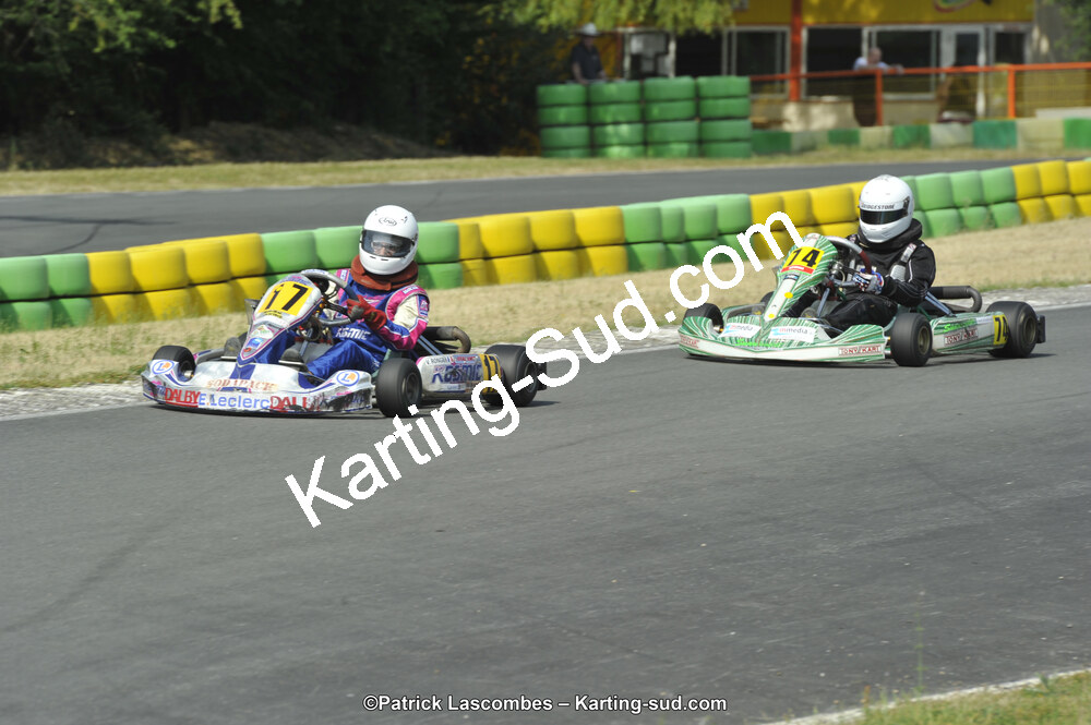 22/06/2014 : 4ème manche du Trophée Jean Paul Puyrigaud à Layrac (Photos Patrick Lascombes) 2014 — karting