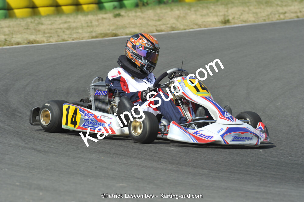22/06/2014 : 4ème manche du Trophée Jean Paul Puyrigaud à Layrac (Photos Patrick Lascombes) 2014 — karting