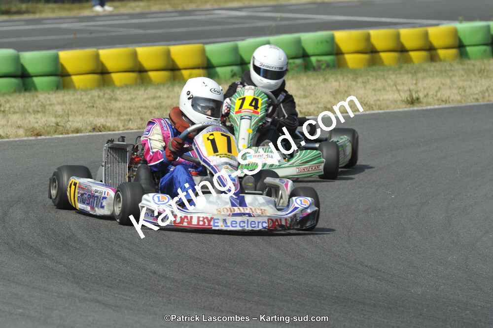 22/06/2014 : 4ème manche du Trophée Jean Paul Puyrigaud à Layrac (Photos Patrick Lascombes) 2014 — karting