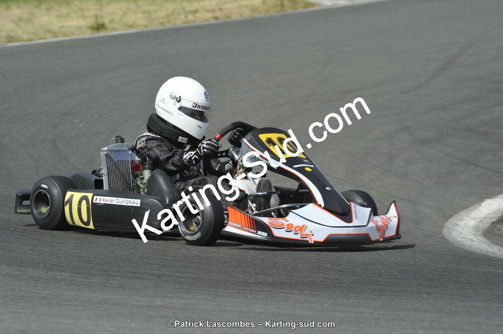22/06/2014 : 4ème manche du Trophée Jean Paul Puyrigaud à Layrac (Photos Patrick Lascombes) 2014 — karting