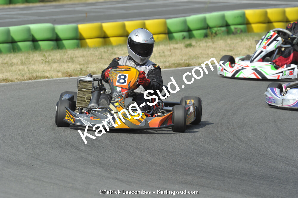 22/06/2014 : 4ème manche du Trophée Jean Paul Puyrigaud à Layrac (Photos Patrick Lascombes) 2014 — karting