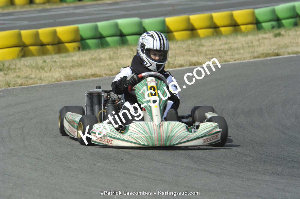 22/06/2014 : 4ème manche du Trophée Jean Paul Puyrigaud à Layrac (Photos Patrick Lascombes) 2014 — karting