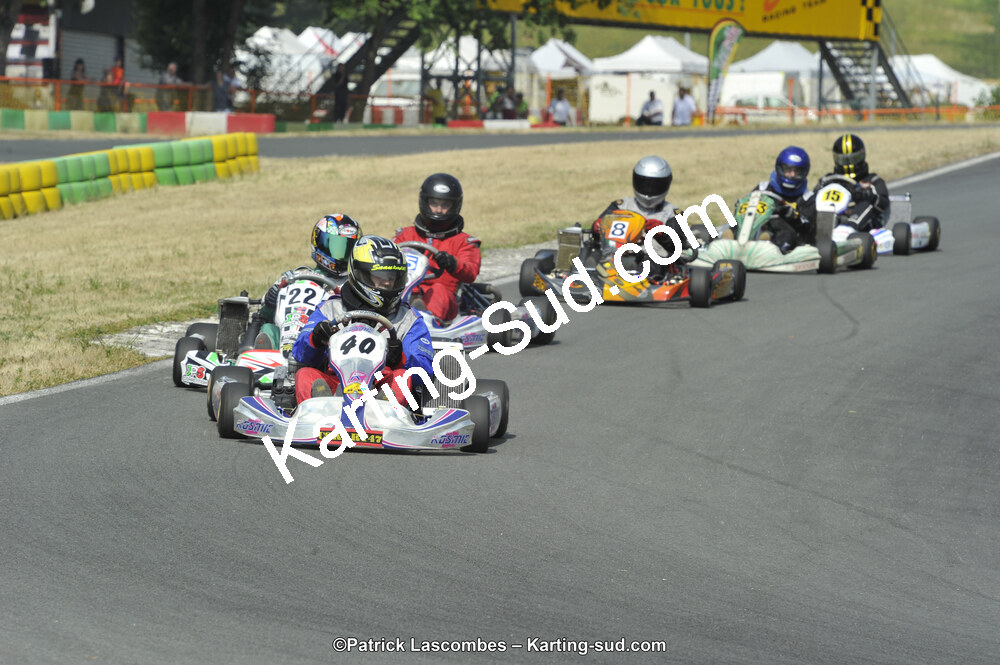 22/06/2014 : 4ème manche du Trophée Jean Paul Puyrigaud à Layrac (Photos Patrick Lascombes) 2014 — karting