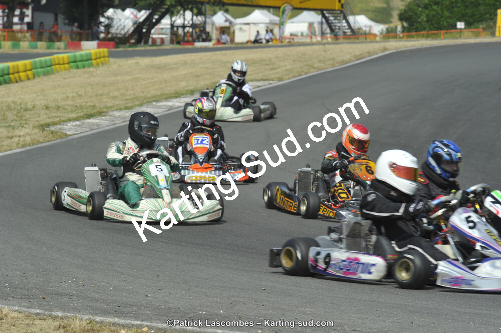 22/06/2014 : 4ème manche du Trophée Jean Paul Puyrigaud à Layrac (Photos Patrick Lascombes) 2014 — karting