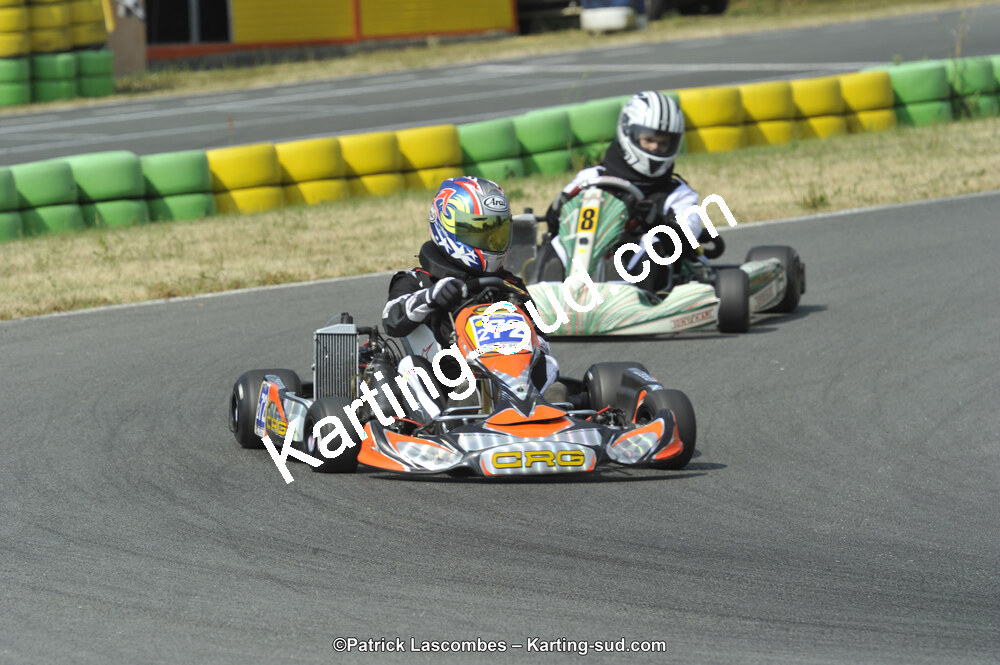 22/06/2014 : 4ème manche du Trophée Jean Paul Puyrigaud à Layrac (Photos Patrick Lascombes) 2014 — karting