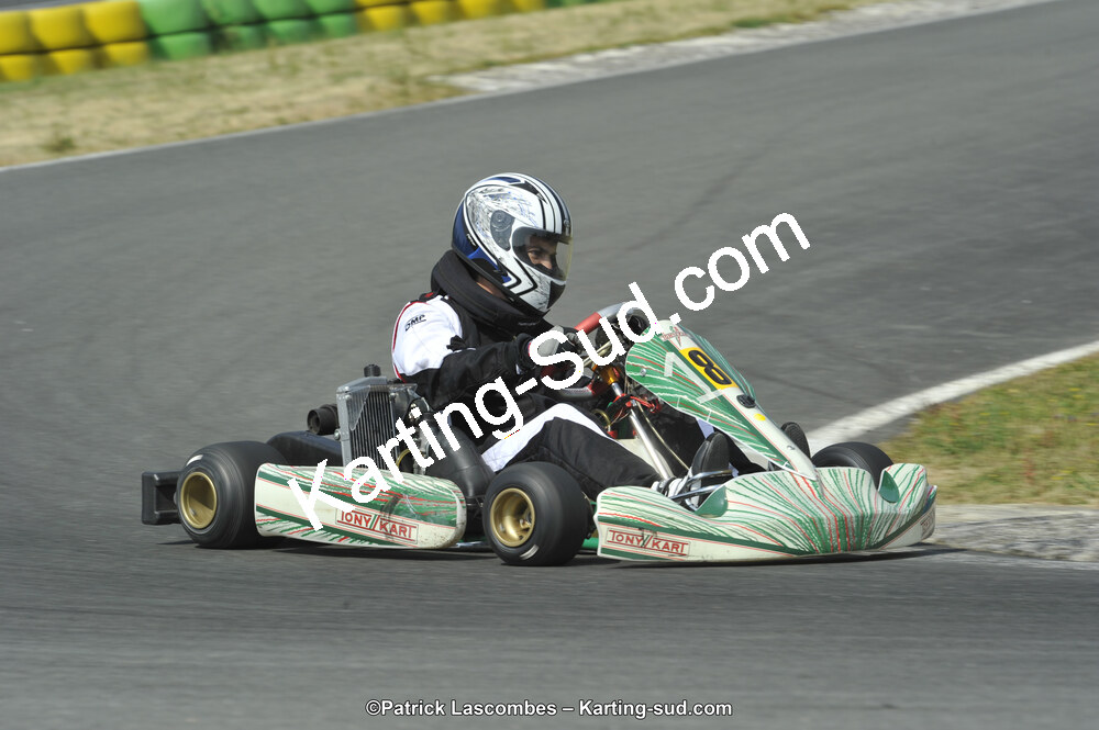 22/06/2014 : 4ème manche du Trophée Jean Paul Puyrigaud à Layrac (Photos Patrick Lascombes) 2014 — karting