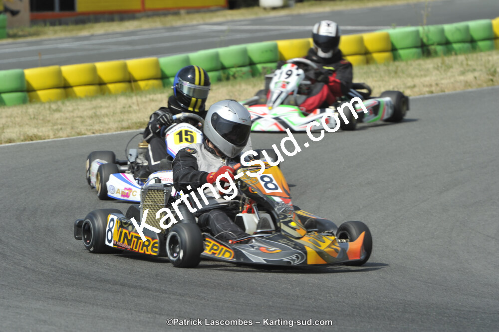 22/06/2014 : 4ème manche du Trophée Jean Paul Puyrigaud à Layrac (Photos Patrick Lascombes) 2014 — karting