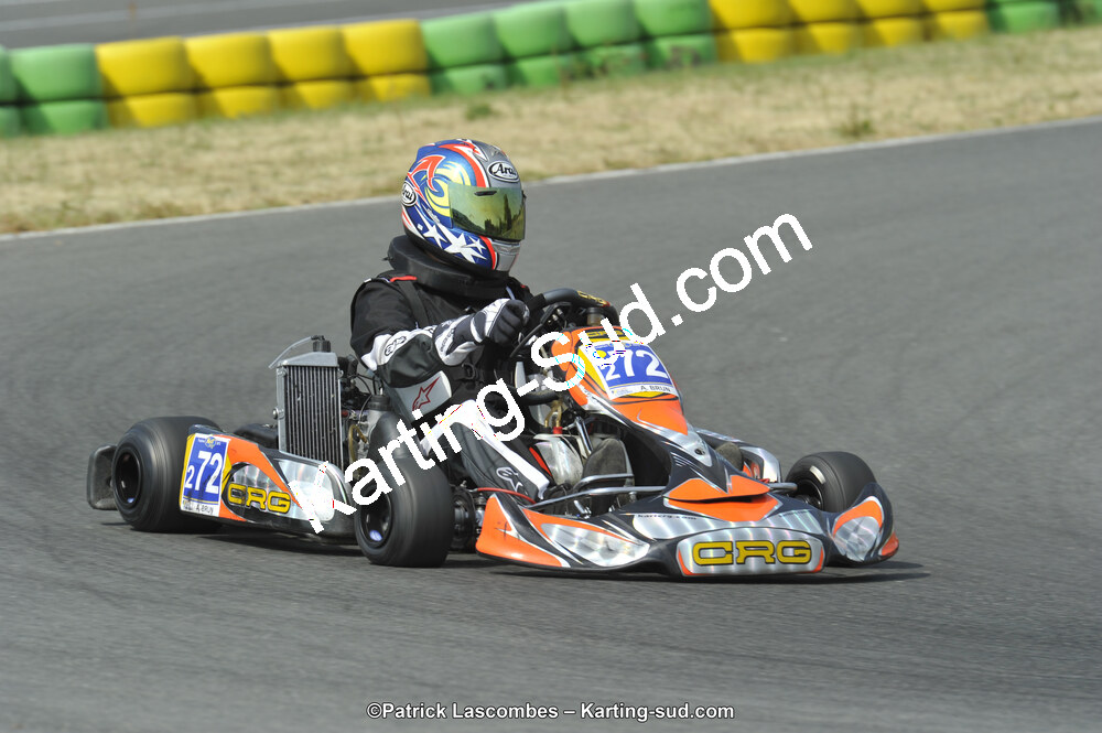 22/06/2014 : 4ème manche du Trophée Jean Paul Puyrigaud à Layrac (Photos Patrick Lascombes) 2014 — karting