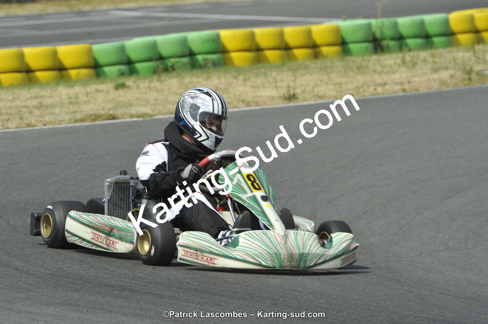 22/06/2014 : 4ème manche du Trophée Jean Paul Puyrigaud à Layrac (Photos Patrick Lascombes) 2014 — karting