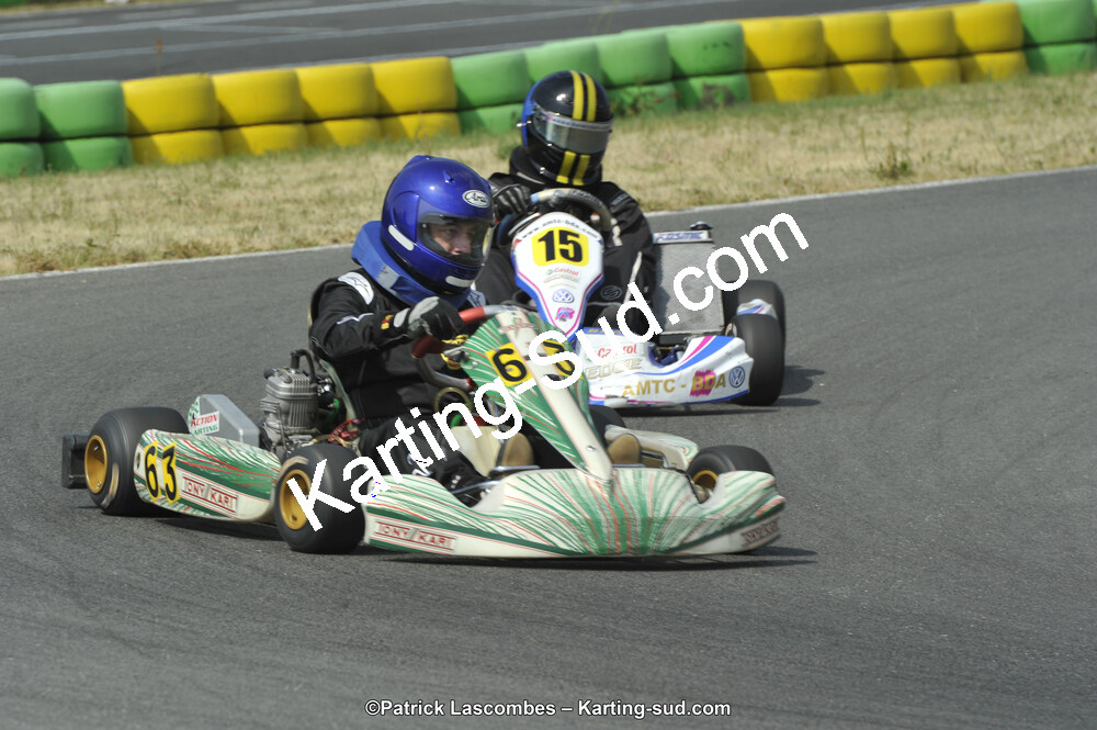 22/06/2014 : 4ème manche du Trophée Jean Paul Puyrigaud à Layrac (Photos Patrick Lascombes) 2014 — karting