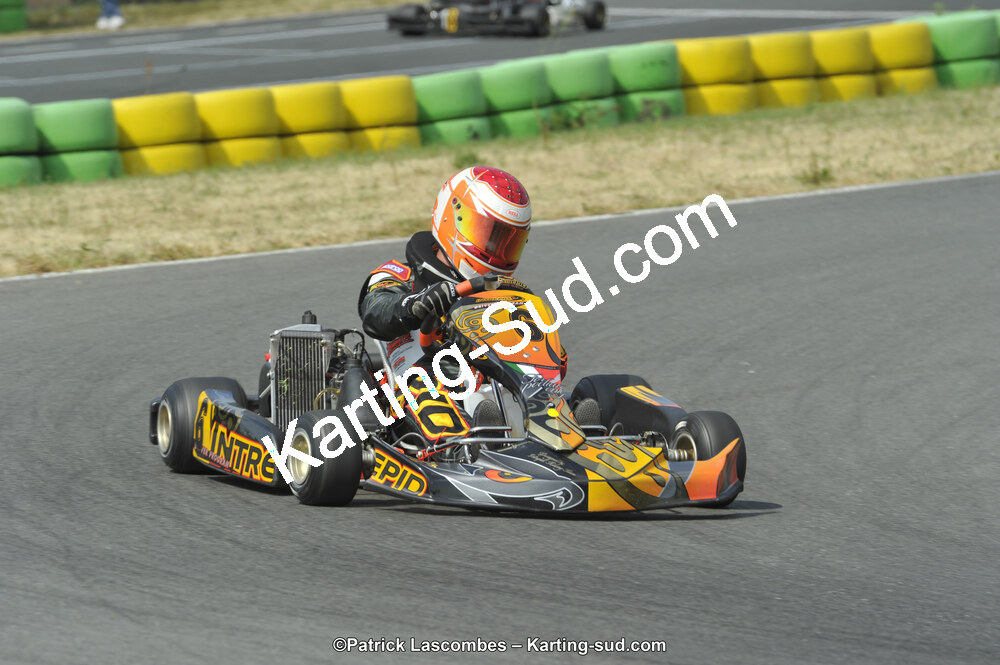 22/06/2014 : 4ème manche du Trophée Jean Paul Puyrigaud à Layrac (Photos Patrick Lascombes) 2014 — karting