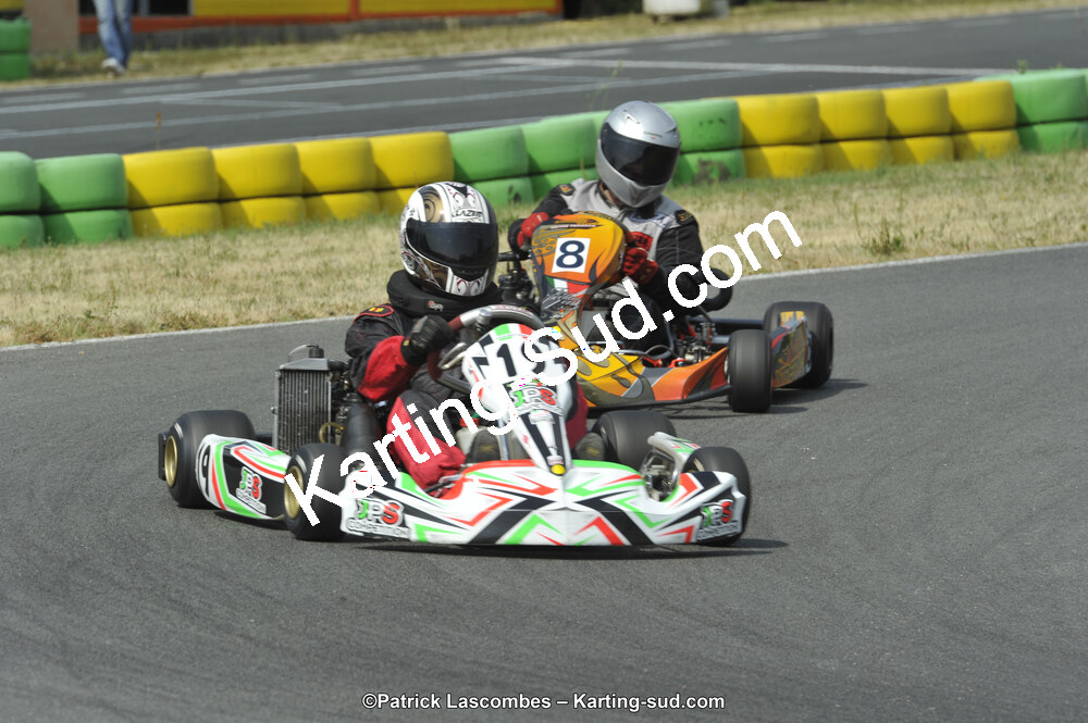 22/06/2014 : 4ème manche du Trophée Jean Paul Puyrigaud à Layrac (Photos Patrick Lascombes) 2014 — karting