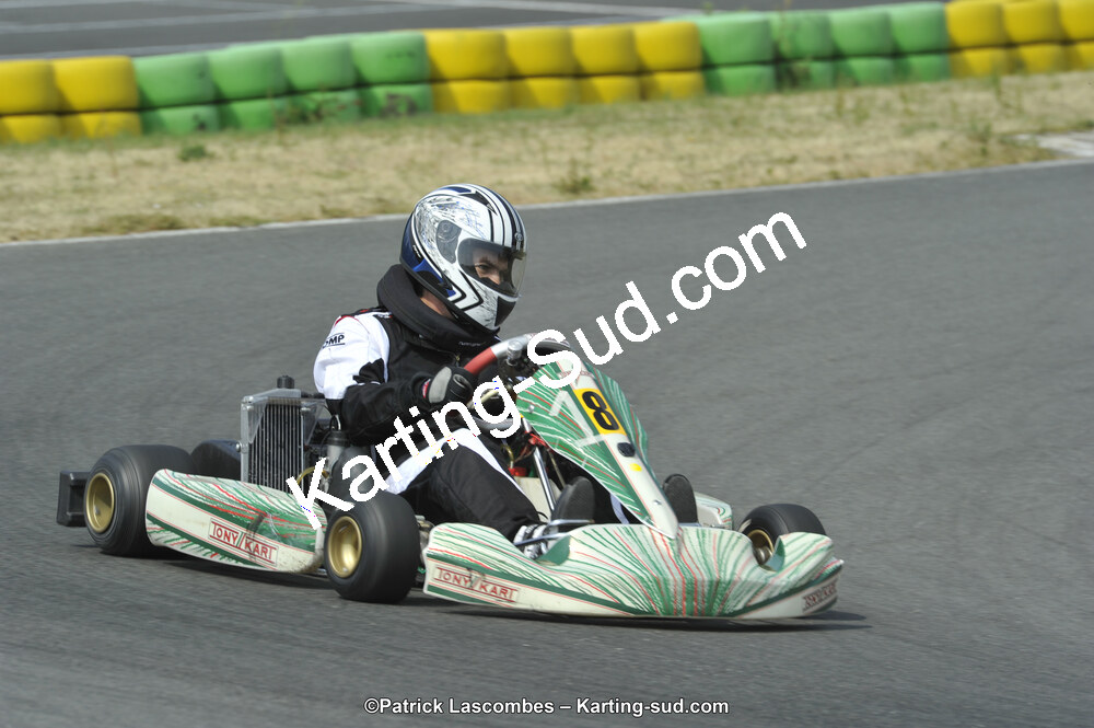 22/06/2014 : 4ème manche du Trophée Jean Paul Puyrigaud à Layrac (Photos Patrick Lascombes) 2014 — karting