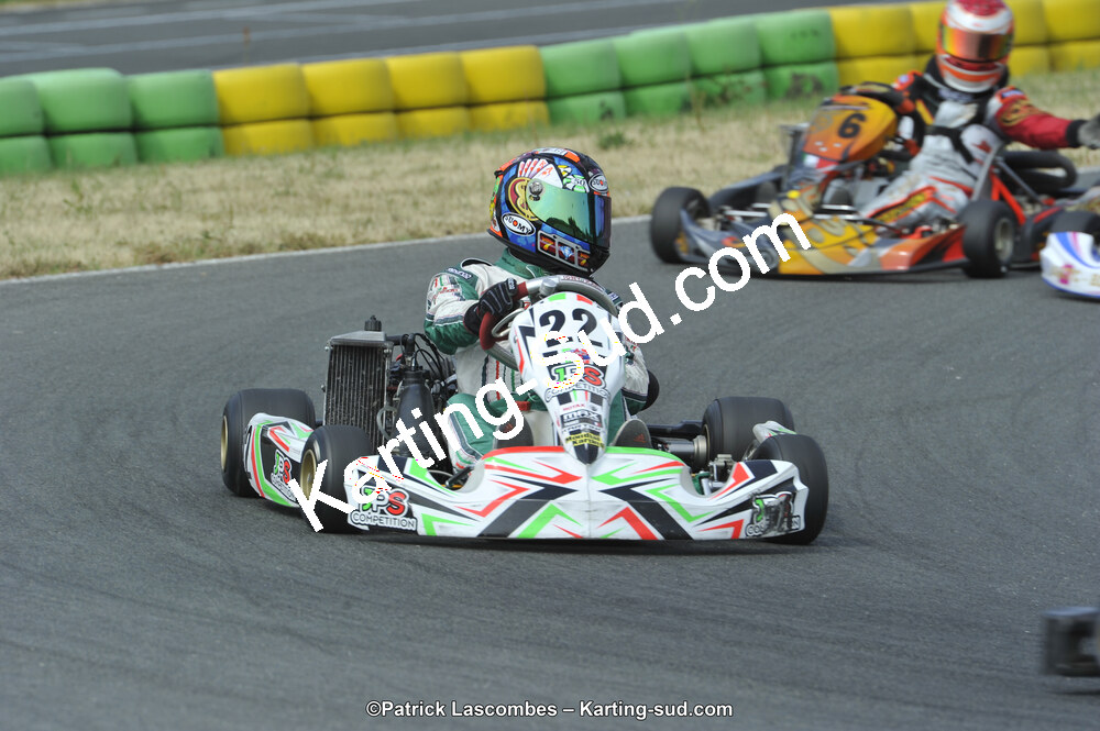 22/06/2014 : 4ème manche du Trophée Jean Paul Puyrigaud à Layrac (Photos Patrick Lascombes) 2014 — karting