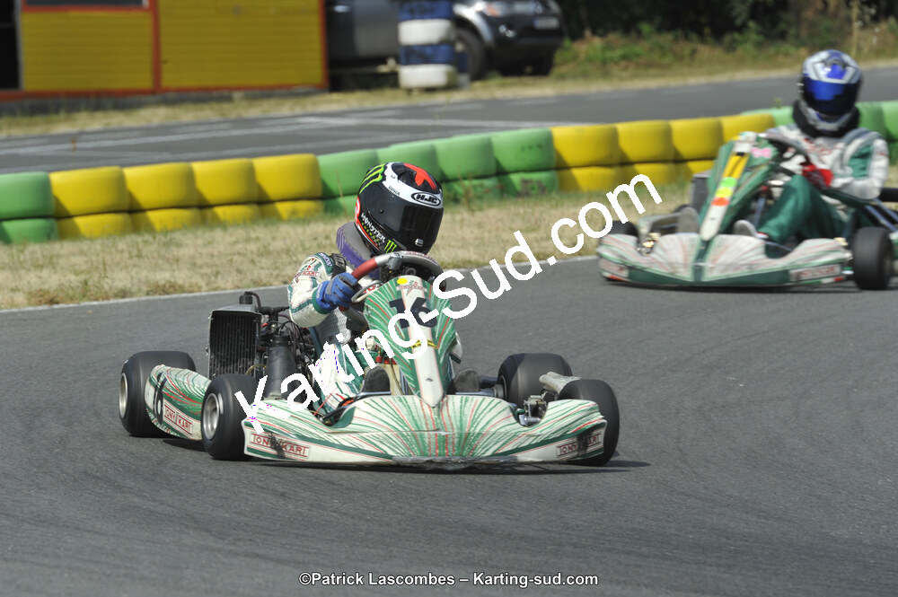 22/06/2014 : 4ème manche du Trophée Jean Paul Puyrigaud à Layrac (Photos Patrick Lascombes) 2014 — karting