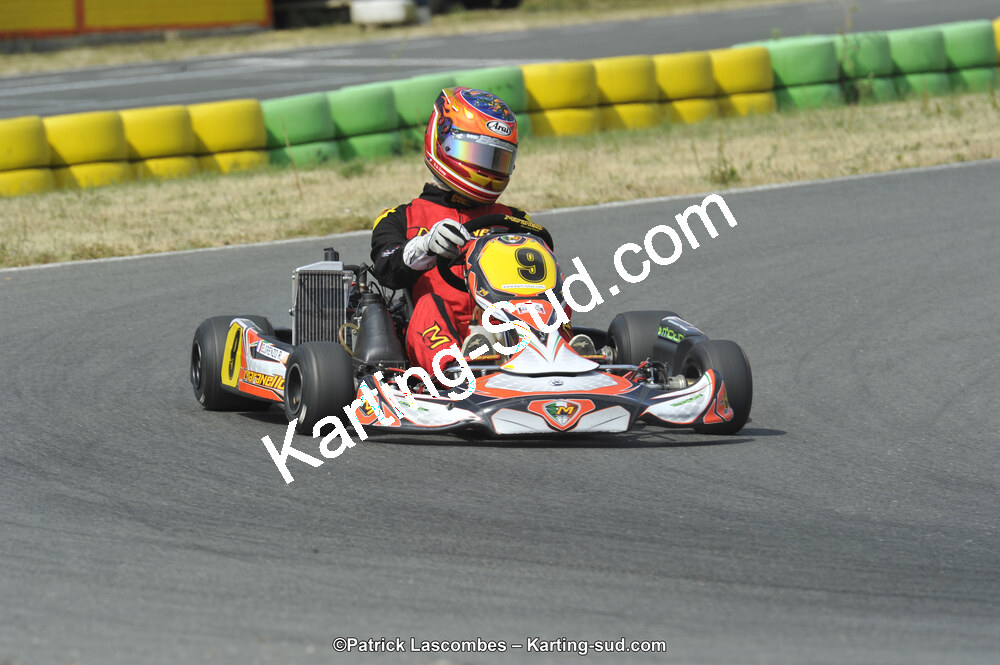 22/06/2014 : 4ème manche du Trophée Jean Paul Puyrigaud à Layrac (Photos Patrick Lascombes) 2014 — karting