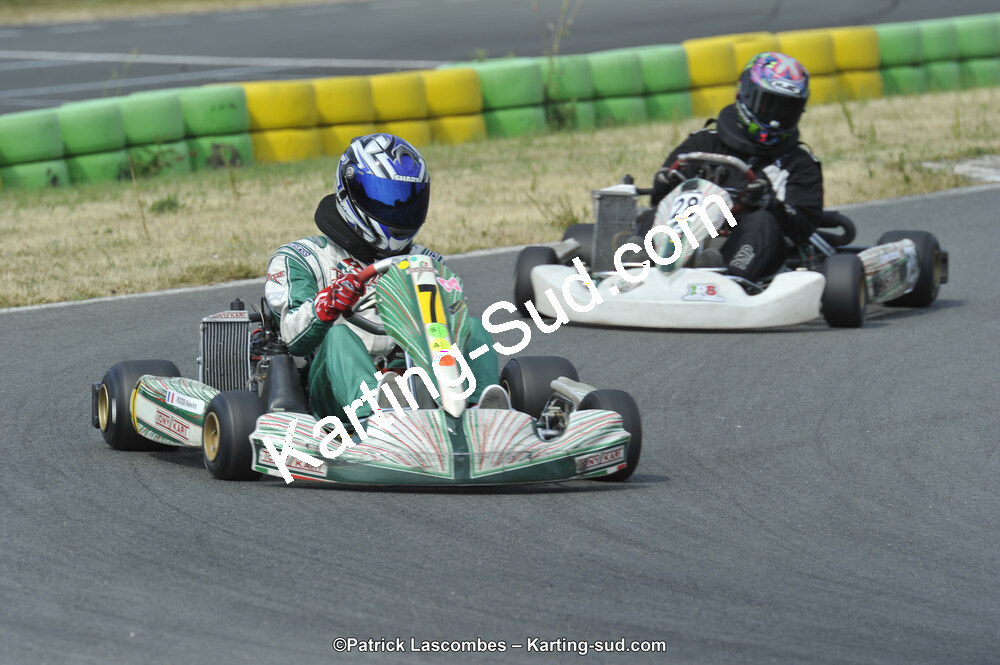 22/06/2014 : 4ème manche du Trophée Jean Paul Puyrigaud à Layrac (Photos Patrick Lascombes) 2014 — karting