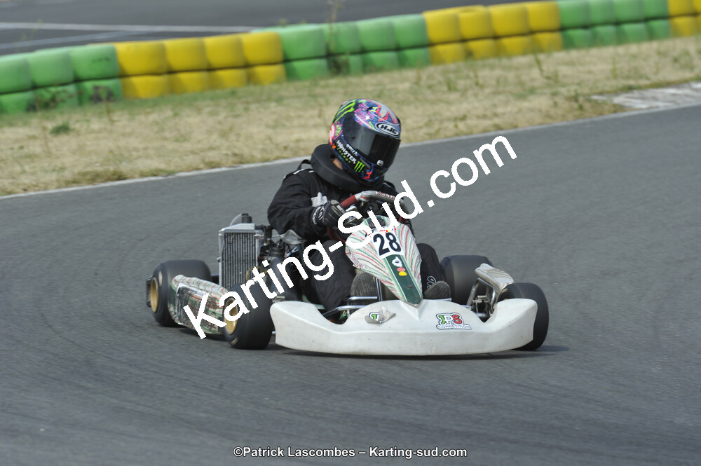 22/06/2014 : 4ème manche du Trophée Jean Paul Puyrigaud à Layrac (Photos Patrick Lascombes) 2014 — karting