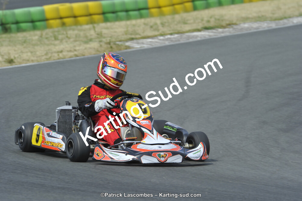 22/06/2014 : 4ème manche du Trophée Jean Paul Puyrigaud à Layrac (Photos Patrick Lascombes) 2014 — karting