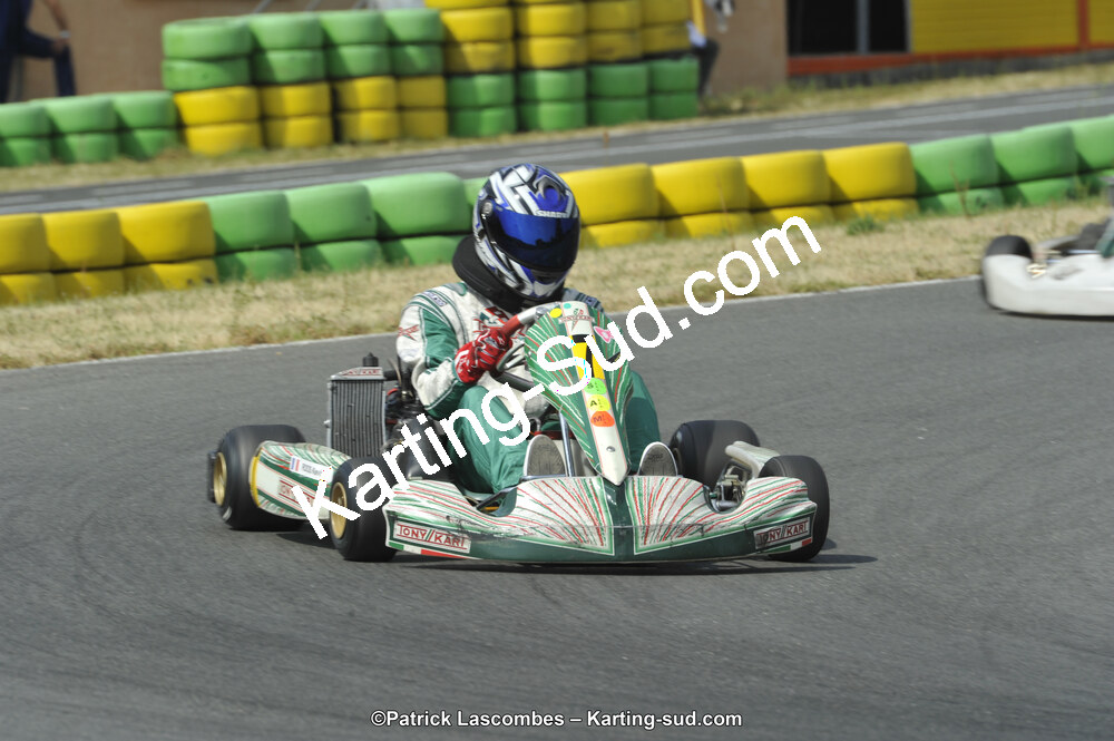 22/06/2014 : 4ème manche du Trophée Jean Paul Puyrigaud à Layrac (Photos Patrick Lascombes) 2014 — karting